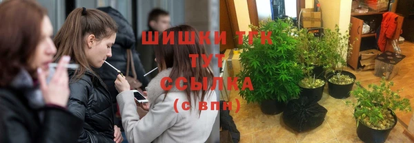 индика Богородск