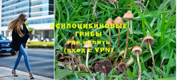 спайс Верея
